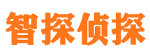 芦淞市婚姻出轨调查